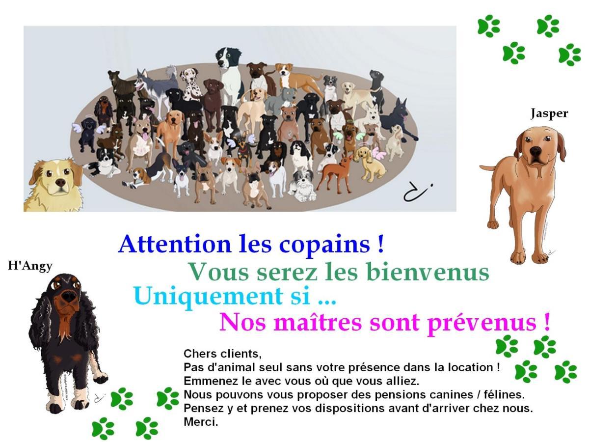 Courlay Chambre D'Hotes Le Gachignard المظهر الخارجي الصورة